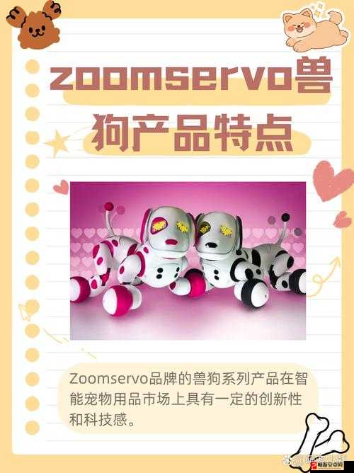 ZOOMSERVO 兽免费的：带来独特的服务体验和惊喜